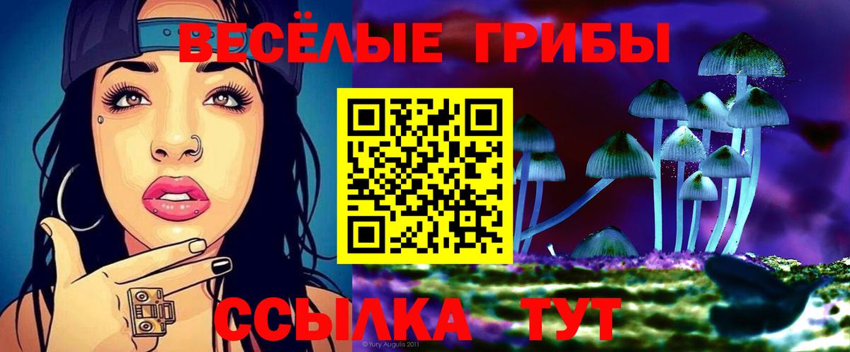 Псилоцибиновые грибы Psilocybine cubensis  Вход с VPN  Всеволожск 