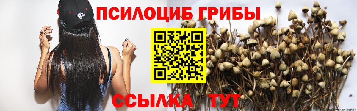 Галлюциногенные грибы Psilocybe Всеволожск